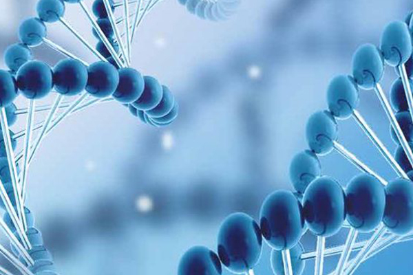 多肽藥物(wù)研發